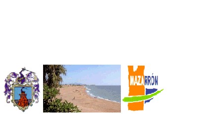 Book Flight And Hotel